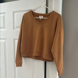 AEO Brown V-Neck Sweatshirt